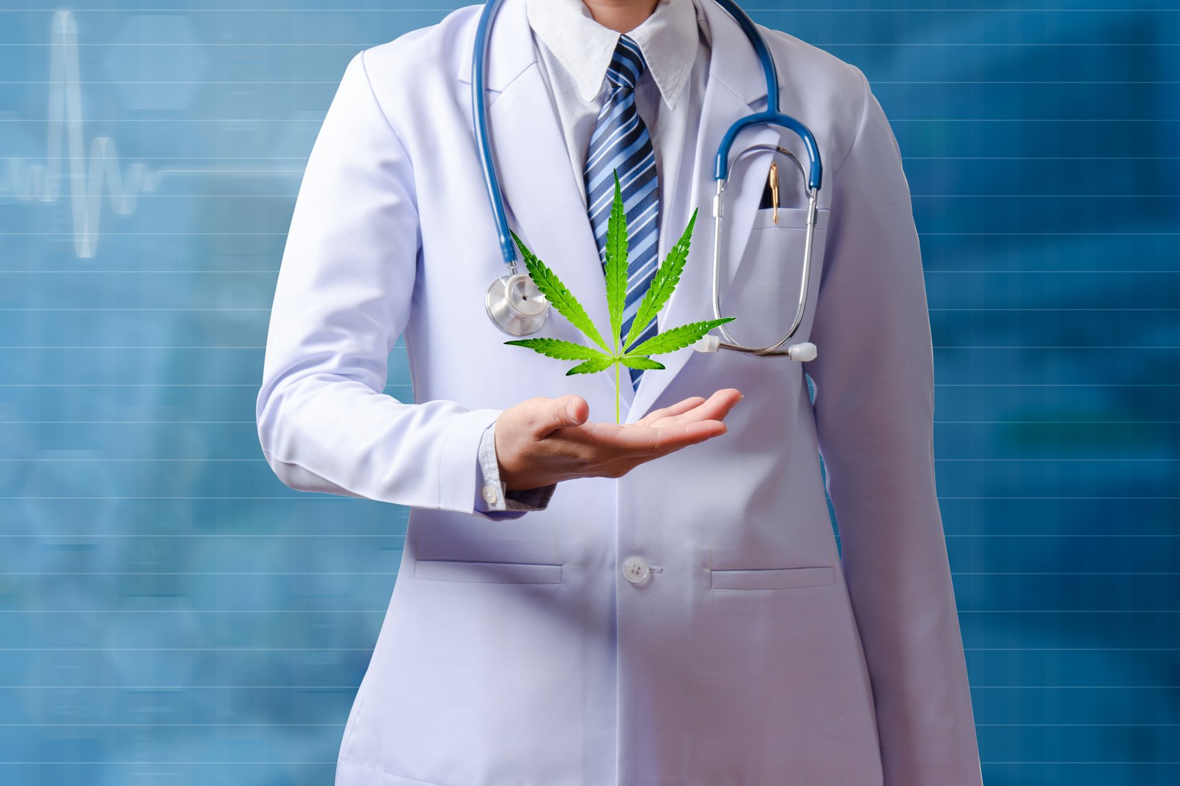 cannabis leaf plant and doctor